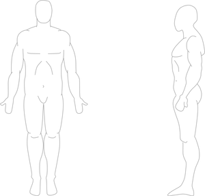 Human Anatomy Outline PNG image