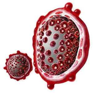 Human Blood Cells PNG Jnl59 PNG