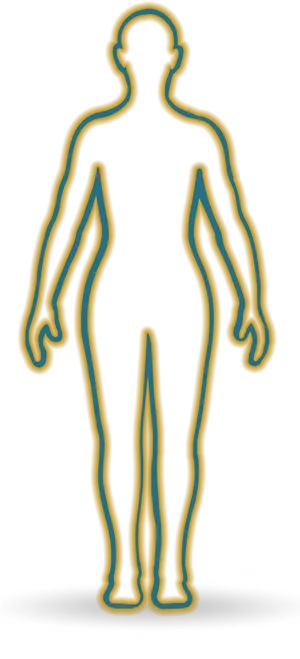 Human Body Outline Illustration PNG image
