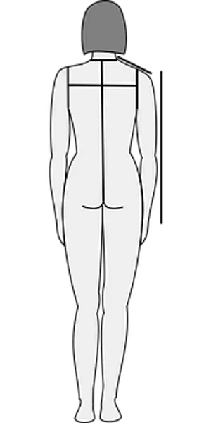 Human Body Silhouette Back View
