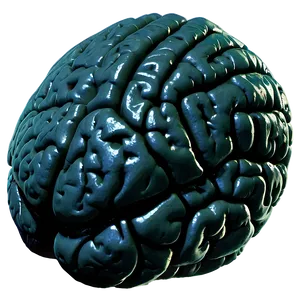 Human Brain And Exercise PNG Lvh80