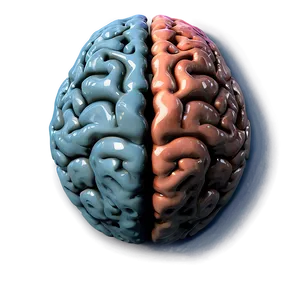 Human Brain Creative Thinking Png 51 PNG image