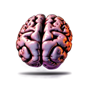 Human Brain Illustration PNG 05242024