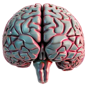 Human Brain Illustration PNG Fvf67 PNG