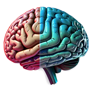 Human Brain Infographic Png Pvy56 PNG image