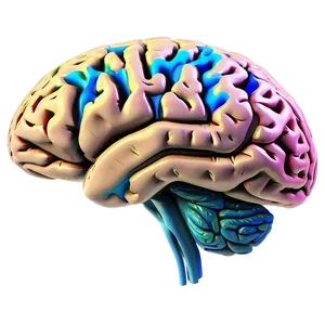 Human Brain Lobes Diagram Png Xdb56 PNG image