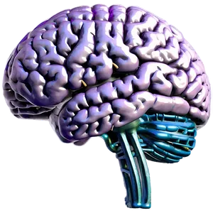 Human Brain Neurotransmitters Png 06212024 PNG image