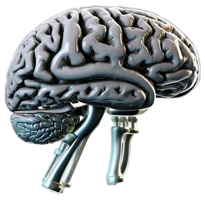 Human Brain Problem Solving Png 06212024 PNG image