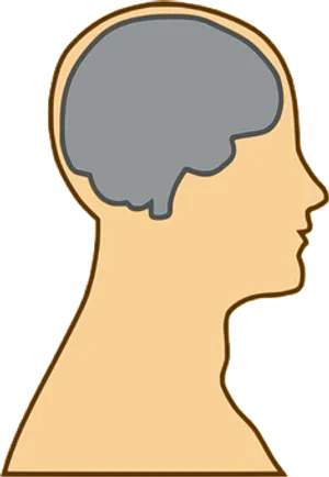 Human Brain Silhouette PNG image