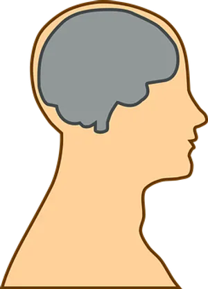 Human Brain Silhouette PNG image