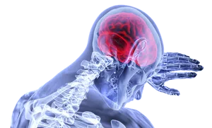 Human Brain Xray Visualization PNG image