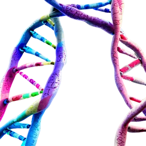 Human Dna Structure PNG Fup12 PNG