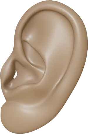 Human Ear Close Up PNG image