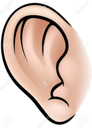 Human Ear Illustration PNG image