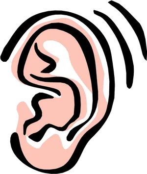 Human Ear Illustration.png PNG image