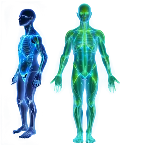 Human Energy Field PNG Ral60 PNG