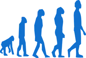 Human_ Evolution_ Sequence PNG image