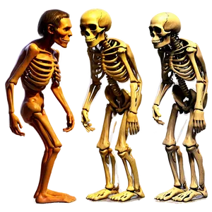 Human Evolution Skeletal Changes PNG 81 PNG