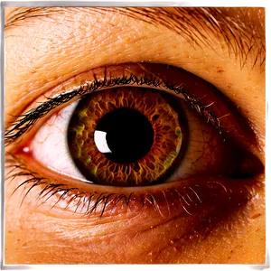 Human Eye Close-up PNG Mul