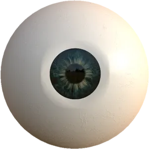 Human Eye Closeup PNG image