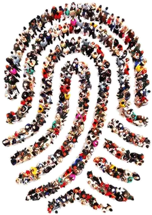 Human Fingerprint Formation PNG image