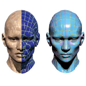 Human Head For 3d Artists Png 06262024 PNG image