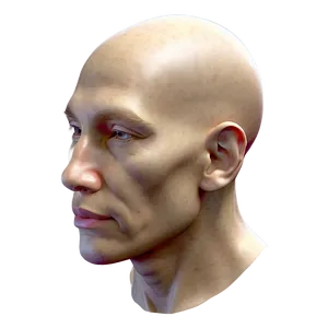 Human Head For 3d Artists PNG 06262024