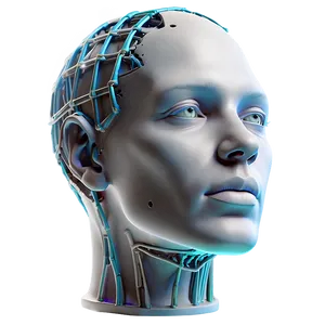 Human Head For 3d Artists PNG 94 PNG