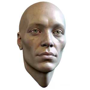 Human Head With Facial Features Png 57 PNG image