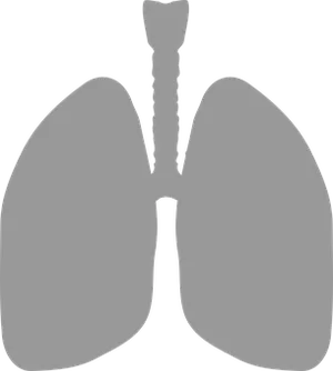 Human Lungs Silhouette PNG image