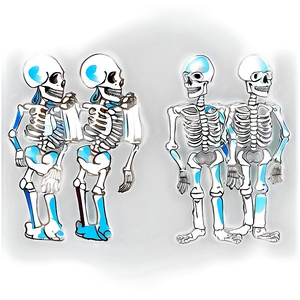 Human Skeleton For Kids PNG Tbu