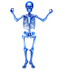 Human Skeleton For Medical Reference PNG Tja37 PNG