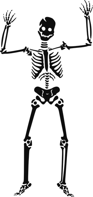 Human Skeleton Illustration PNG image