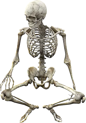 Human Skeleton Isolatedon Black PNG image