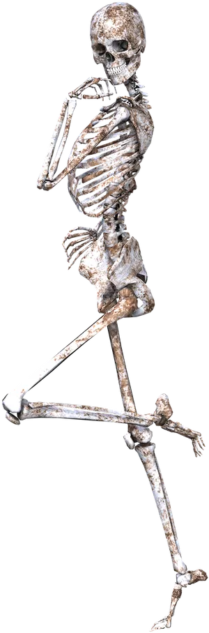 Human Skeleton Pondering Pose PNG image