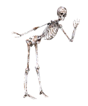 Human Skeleton Pose Black Background PNG image