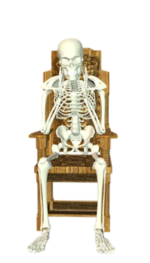 Human Skeleton Seatedon Chair PNG image