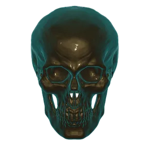 Human Skull X Ray Visualization