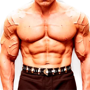 Human Torso Muscles PNG 33