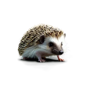 Humble Hedgehog PNG Smo53