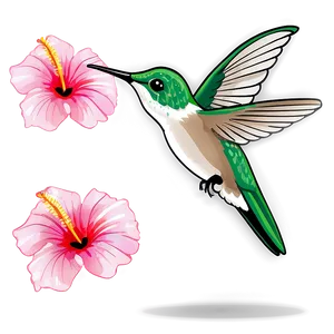 Hummingbird And Hibiscus PNG 5