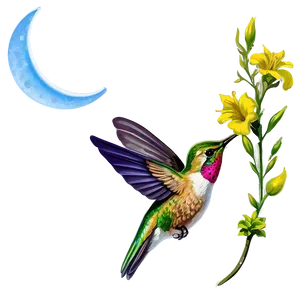 Hummingbird And Moon Png 86 PNG image
