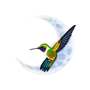 Hummingbird And Moon Png Xkd75 PNG image