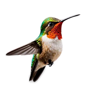 Hummingbird Clipart PNG Hjy PNG