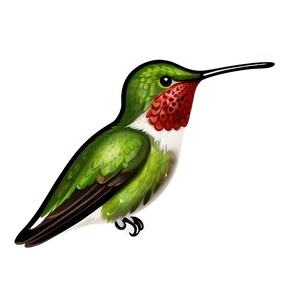 Hummingbird Clipart PNG Ypj PNG