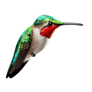 Hummingbird Digital Art Png 05212024 PNG image
