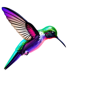 Hummingbird Digital Art Png 38 PNG image