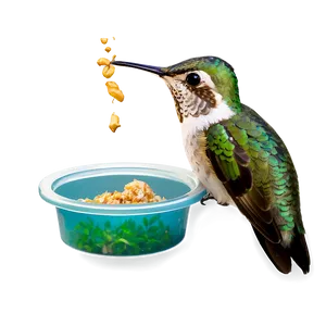 Hummingbird Feeding Png 9 PNG image