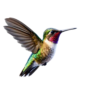 Hummingbird Hovering Png 05212024 PNG image