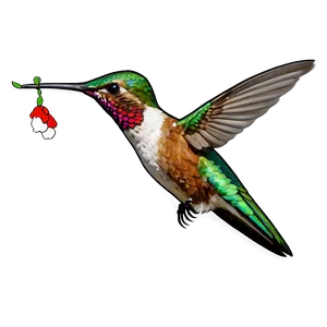 Hummingbird Hovering Png 06122024 PNG image